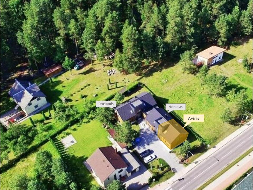 Ausra Villa Druskininkai Eksteriør billede